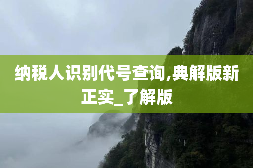 纳税人识别代号查询,典解版新正实_了解版