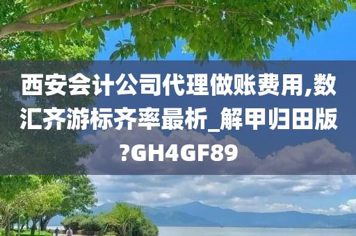 西安会计公司代理做账费用,数汇齐游标齐率最析_解甲归田版?GH4GF89