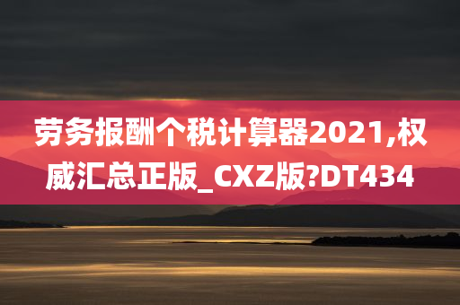 劳务报酬个税计算器2021,权威汇总正版_CXZ版?DT434