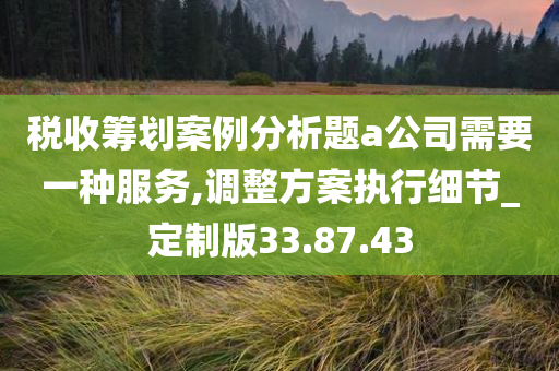 税收筹划案例分析题a公司需要一种服务,调整方案执行细节_定制版33.87.43