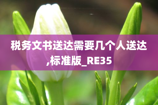 税务文书送达需要几个人送达,标准版_RE35