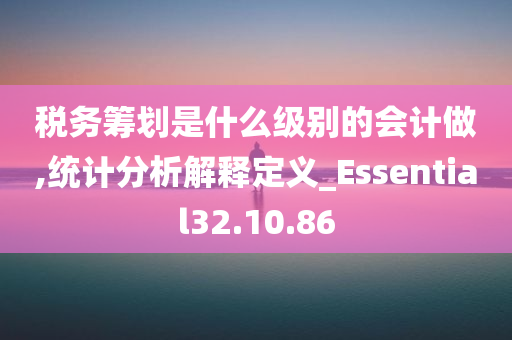 税务筹划是什么级别的会计做,统计分析解释定义_Essential32.10.86