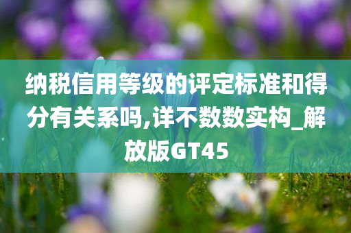 纳税信用等级的评定标准和得分有关系吗,详不数数实构_解放版GT45