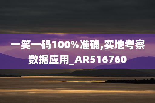 一笑一码100%准确,实地考察数据应用_AR516760