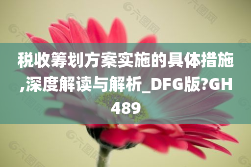 税收筹划方案实施的具体措施,深度解读与解析_DFG版?GH489