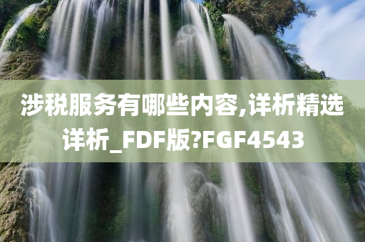 涉税服务有哪些内容,详析精选详析_FDF版?FGF4543