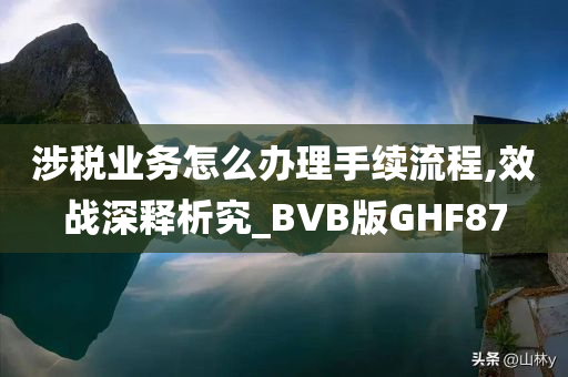 涉税业务怎么办理手续流程,效战深释析究_BVB版GHF87