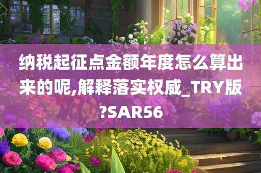 纳税起征点金额年度怎么算出来的呢,解释落实权威_TRY版?SAR56