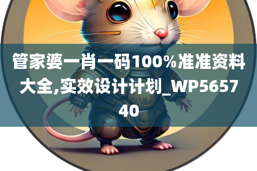 管家婆一肖一码100%准准资料大全,实效设计计划_WP565740