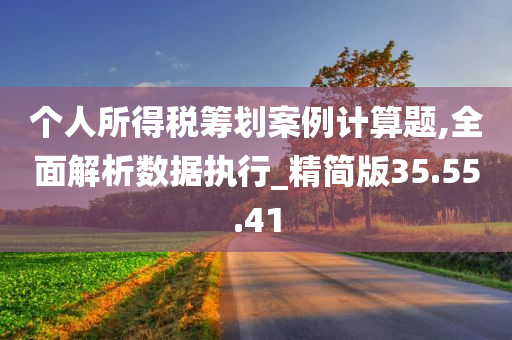 个人所得税筹划案例计算题,全面解析数据执行_精简版35.55.41