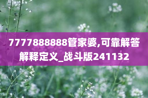 7777888888管家婆,可靠解答解释定义_战斗版241132