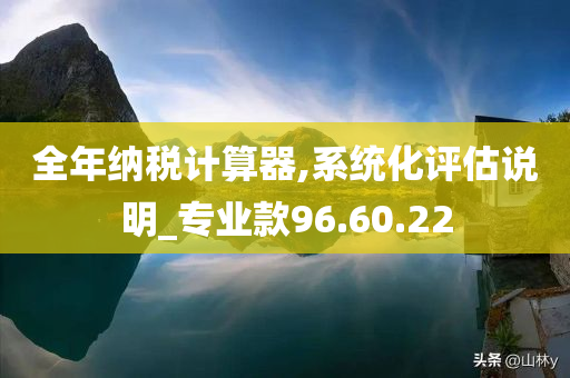 全年纳税计算器,系统化评估说明_专业款96.60.22