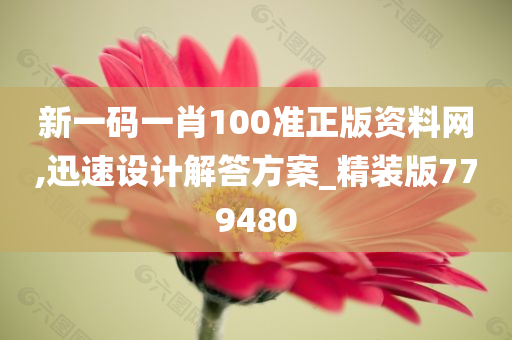 新一码一肖100准正版资料网,迅速设计解答方案_精装版779480