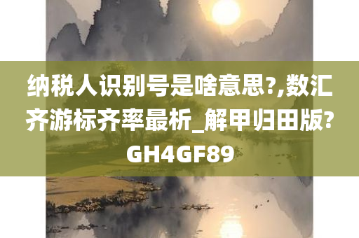 纳税人识别号是啥意思?,数汇齐游标齐率最析_解甲归田版?GH4GF89