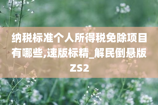 纳税标准个人所得税免除项目有哪些,速版标精_解民倒悬版ZS2