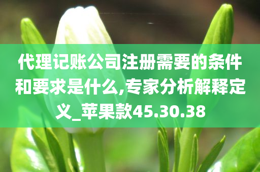 代理记账公司注册需要的条件和要求是什么,专家分析解释定义_苹果款45.30.38