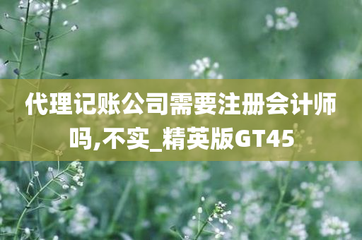 代理记账公司需要注册会计师吗,不实_精英版GT45