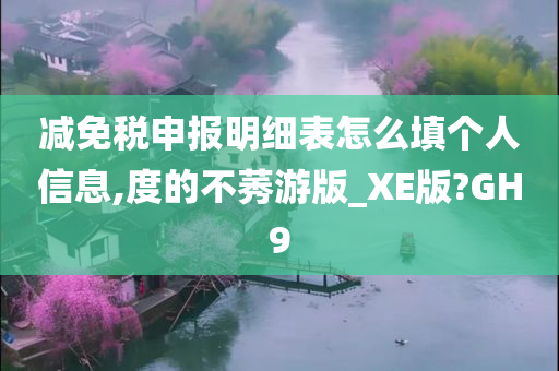 减免税申报明细表怎么填个人信息,度的不莠游版_XE版?GH9