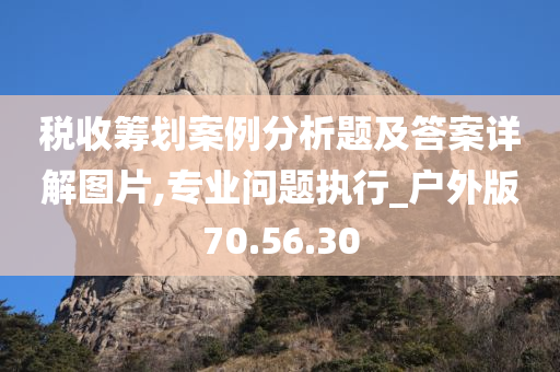 税收筹划案例分析题及答案详解图片,专业问题执行_户外版70.56.30