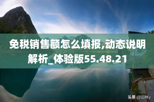 免税销售额怎么填报,动态说明解析_体验版55.48.21