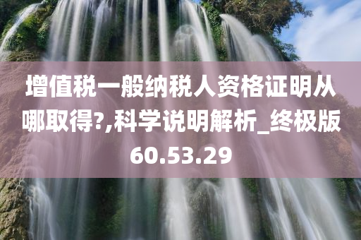 增值税一般纳税人资格证明从哪取得?,科学说明解析_终极版60.53.29