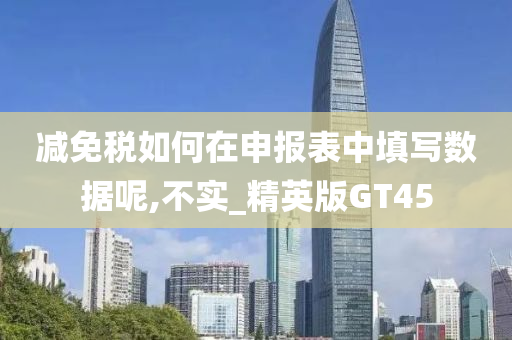 减免税如何在申报表中填写数据呢,不实_精英版GT45