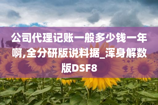 公司代理记账一般多少钱一年啊,全分研版说料据_浑身解数版DSF8