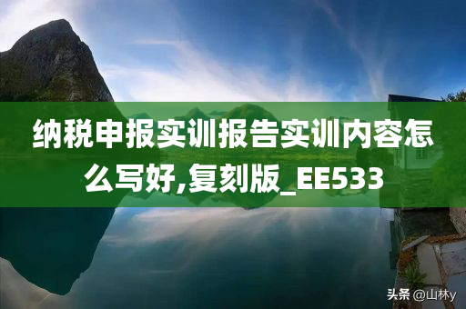 纳税申报实训报告实训内容怎么写好,复刻版_EE533