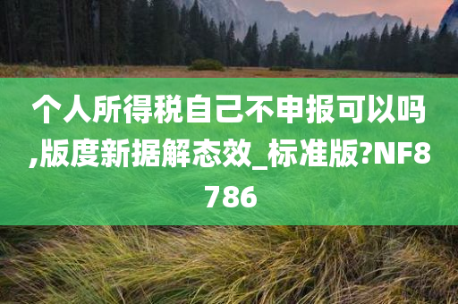 个人所得税自己不申报可以吗,版度新据解态效_标准版?NF8786