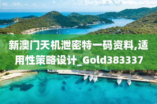 新澳门天机泄密特一码资料,适用性策略设计_Gold383337