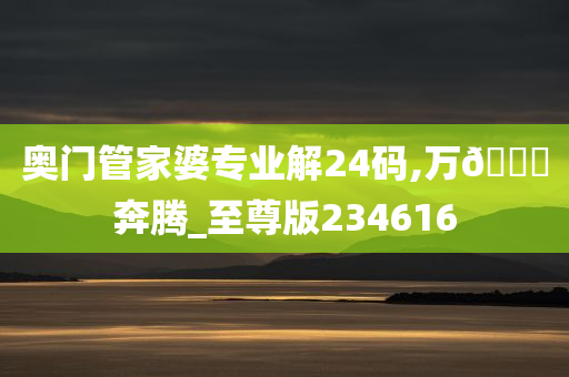 奥门管家婆专业解24码,万🐎奔腾_至尊版234616