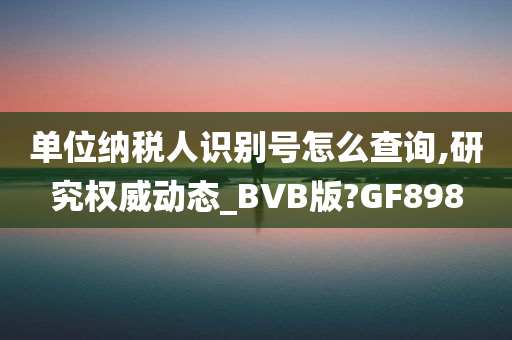 单位纳税人识别号怎么查询,研究权威动态_BVB版?GF898