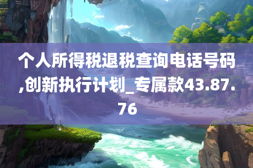 个人所得税退税查询电话号码,创新执行计划_专属款43.87.76