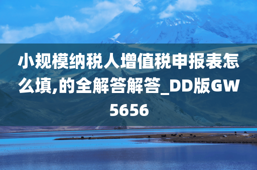 小规模纳税人增值税申报表怎么填,的全解答解答_DD版GW5656