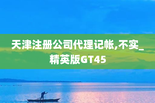 天津注册公司代理记帐,不实_精英版GT45