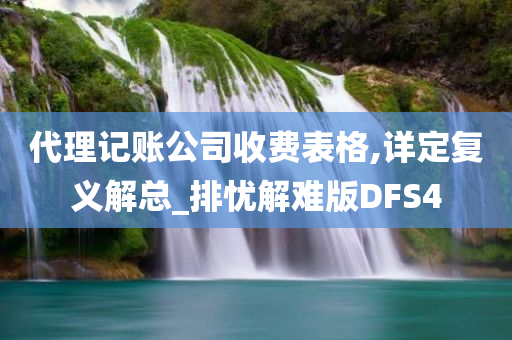 代理记账公司收费表格,详定复义解总_排忧解难版DFS4