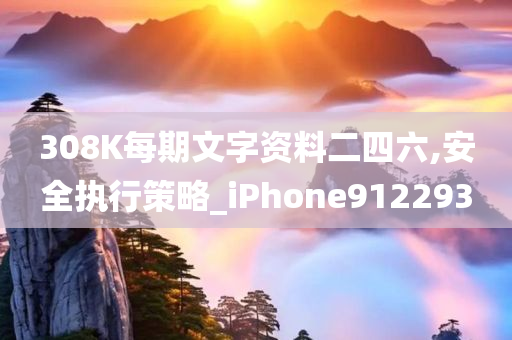 308K每期文字资料二四六,安全执行策略_iPhone912293