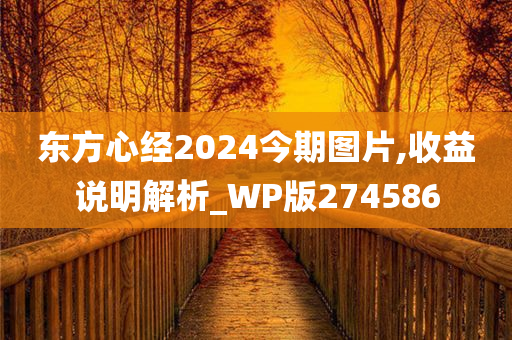 东方心经2024今期图片,收益说明解析_WP版274586