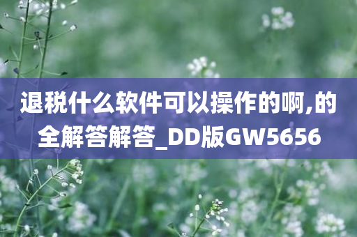 退税什么软件可以操作的啊,的全解答解答_DD版GW5656