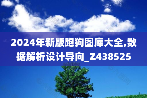 2024年新版跑狗图库大全,数据解析设计导向_Z438525