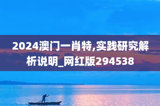 2024澳门一肖特,实践研究解析说明_网红版294538