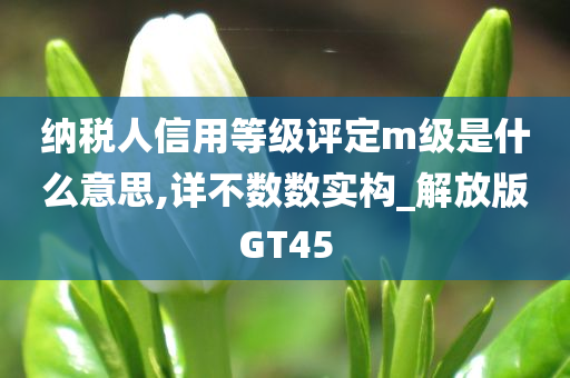 纳税人信用等级评定m级是什么意思,详不数数实构_解放版GT45