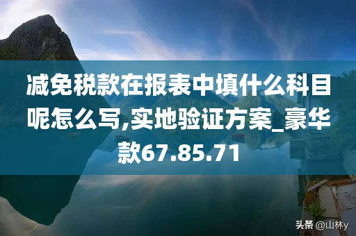 减免税款在报表中填什么科目呢怎么写,实地验证方案_豪华款67.85.71