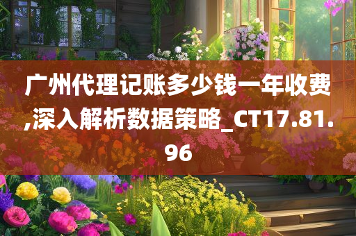 广州代理记账多少钱一年收费,深入解析数据策略_CT17.81.96