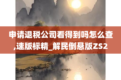 申请退税公司看得到吗怎么查,速版标精_解民倒悬版ZS2