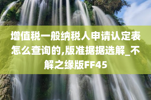 增值税一般纳税人申请认定表怎么查询的,版准据据选解_不解之缘版FF45