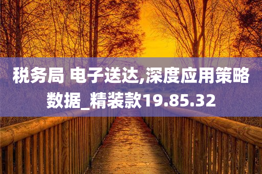 税务局 电子送达,深度应用策略数据_精装款19.85.32