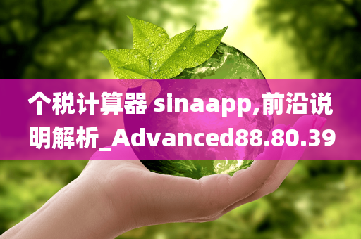 个税计算器 sinaapp,前沿说明解析_Advanced88.80.39