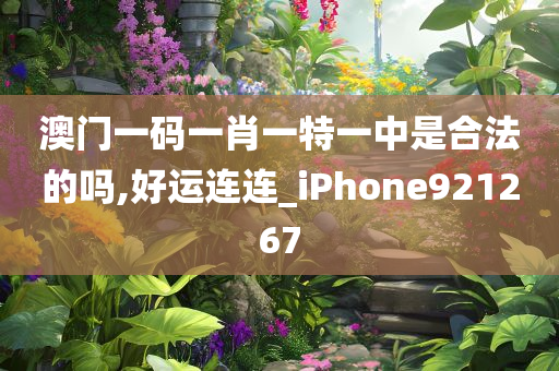 澳门一码一肖一特一中是合法的吗,好运连连_iPhone921267