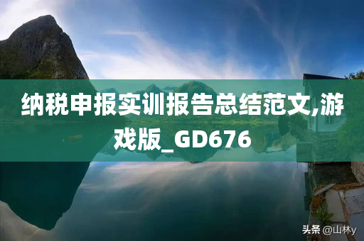 纳税申报实训报告总结范文,游戏版_GD676